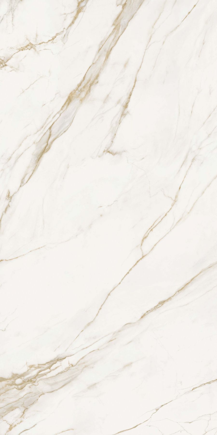 CALACATTA GOLD PARLAK